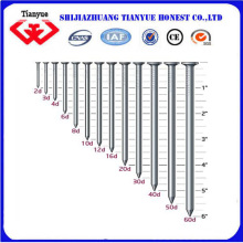 Gold Supplier for Building Material Common Nails